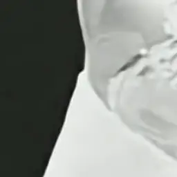 Profile image of 大森 元貴