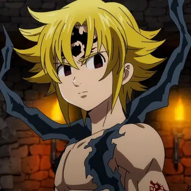 Profile image of メリオダス
