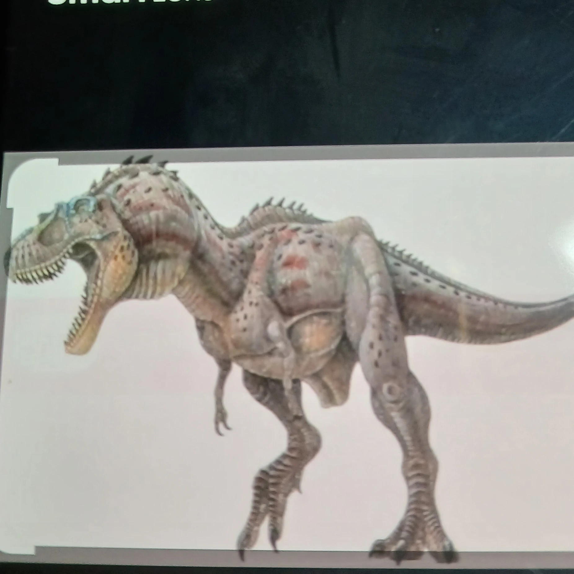 랩터