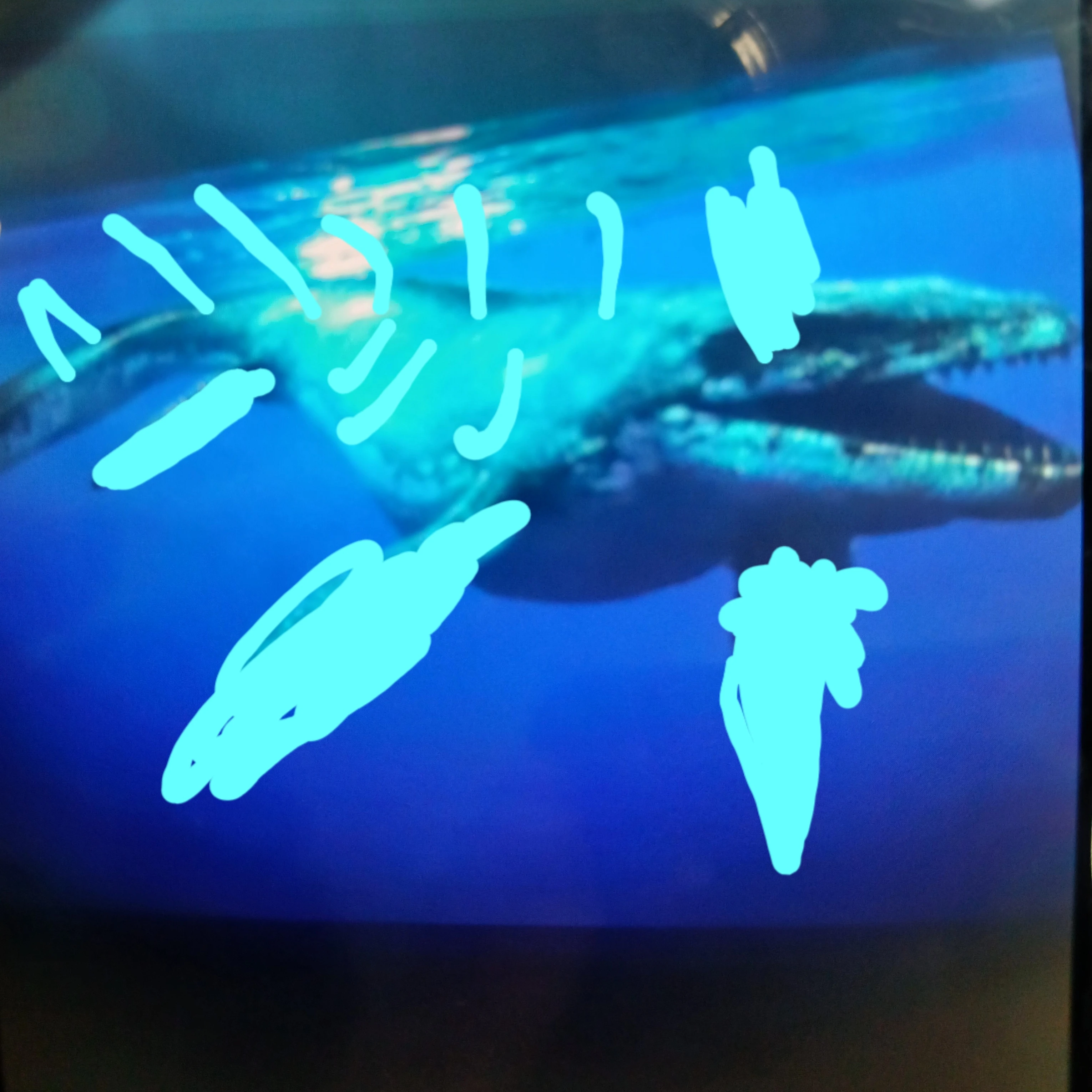 모사사우루스