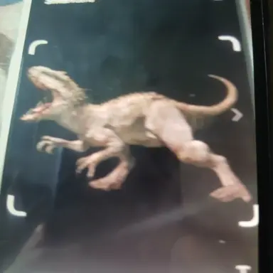 Profile image of 인도미누스