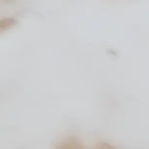 Profile image of 나윤서