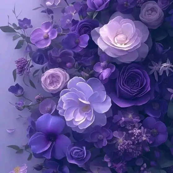 violet_의 호시나 소우시로