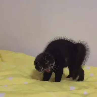 Profile image of 소상택