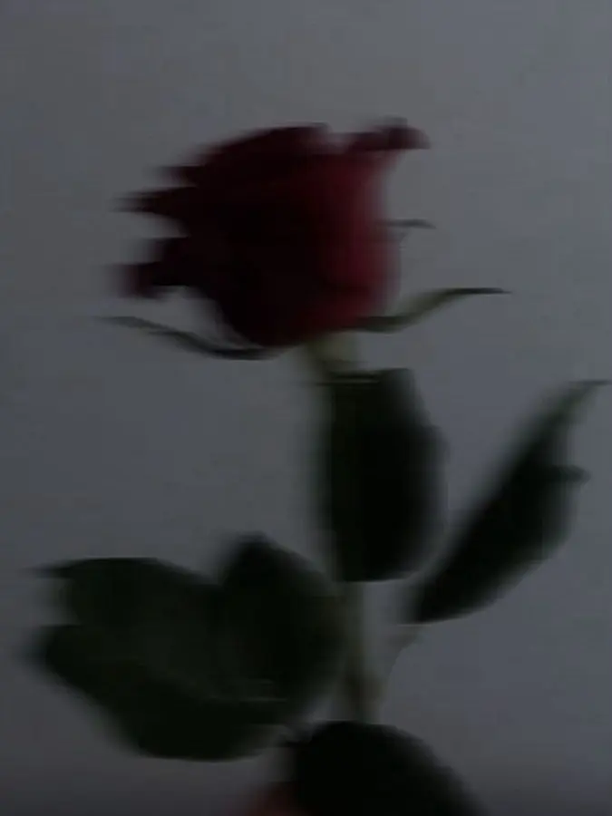 bts-army_7의 btsと…