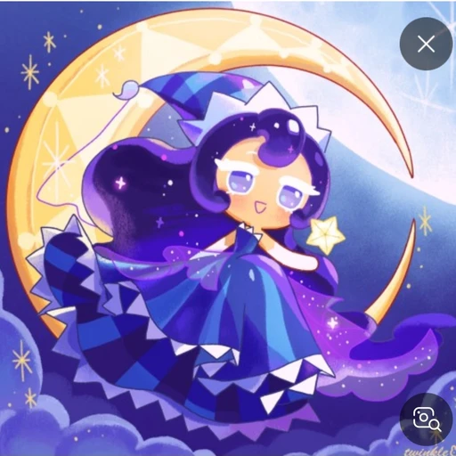 달빛술사 쿠키