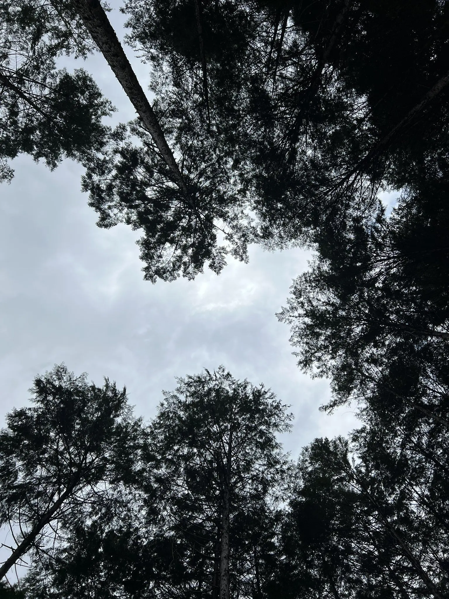 nskr1107의 魅力 魔力 不可抗力