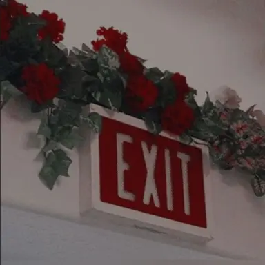 Profile image of 청마플