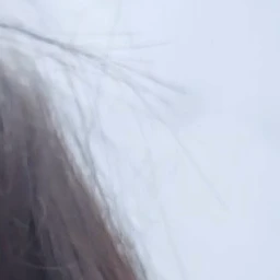 서준이