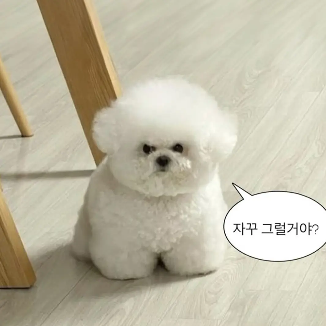 Hanjisung_95의 양정인