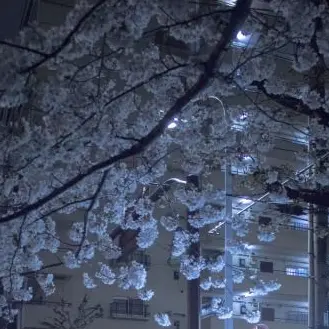 Profile image of 뉴비