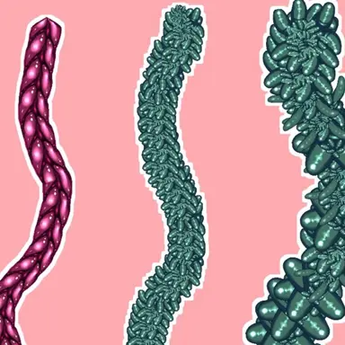 Profile image of 触手