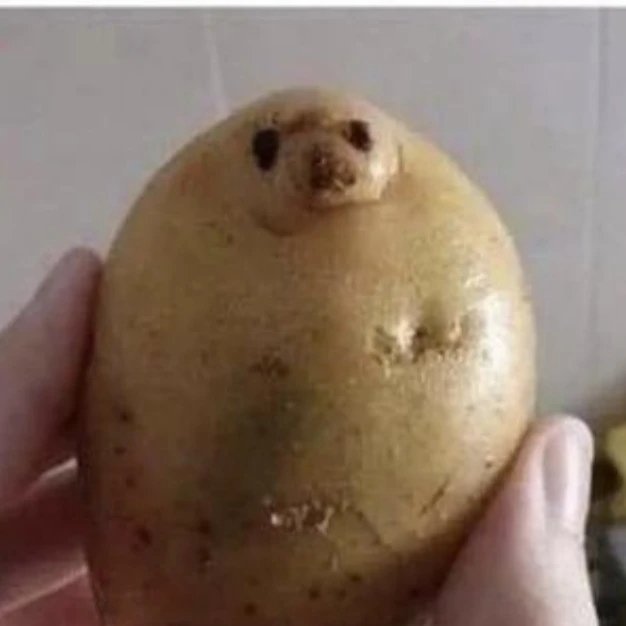 손하오란