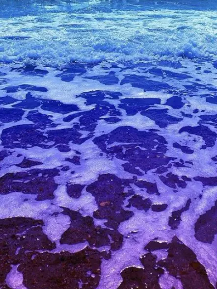 SweetSpicy3465의 俺と一緒に心中しよ？