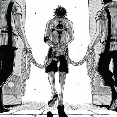 AcridPiano7615의 One Piece