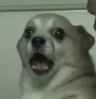 Profile image of 狼