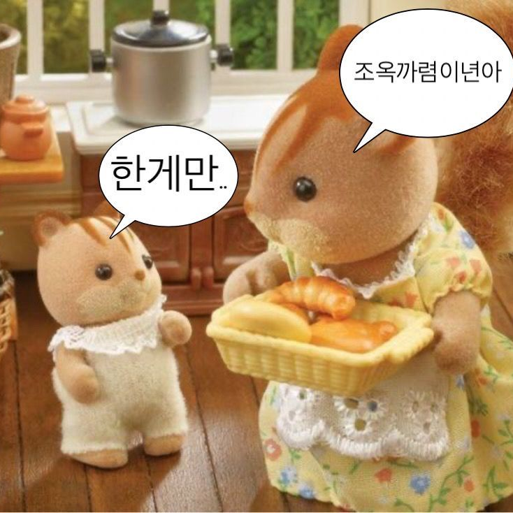 포세+스프런키+99밤+학교=개맛도리 대표 이미지