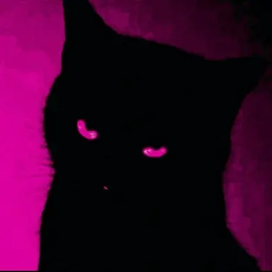 Profile image of Q