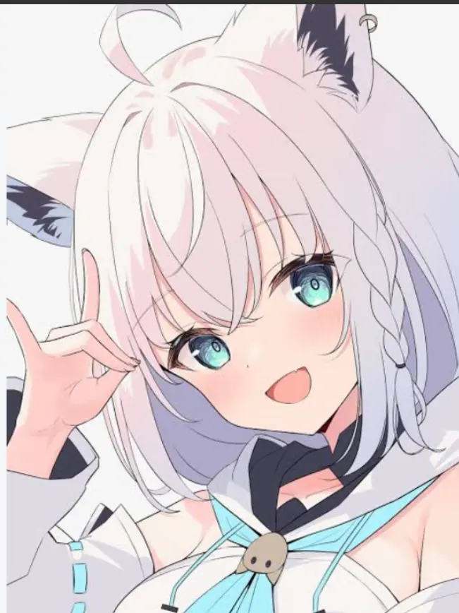 dino.jojo.808의 彼女と車中泊生活