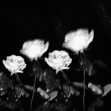 Profile image of 우융