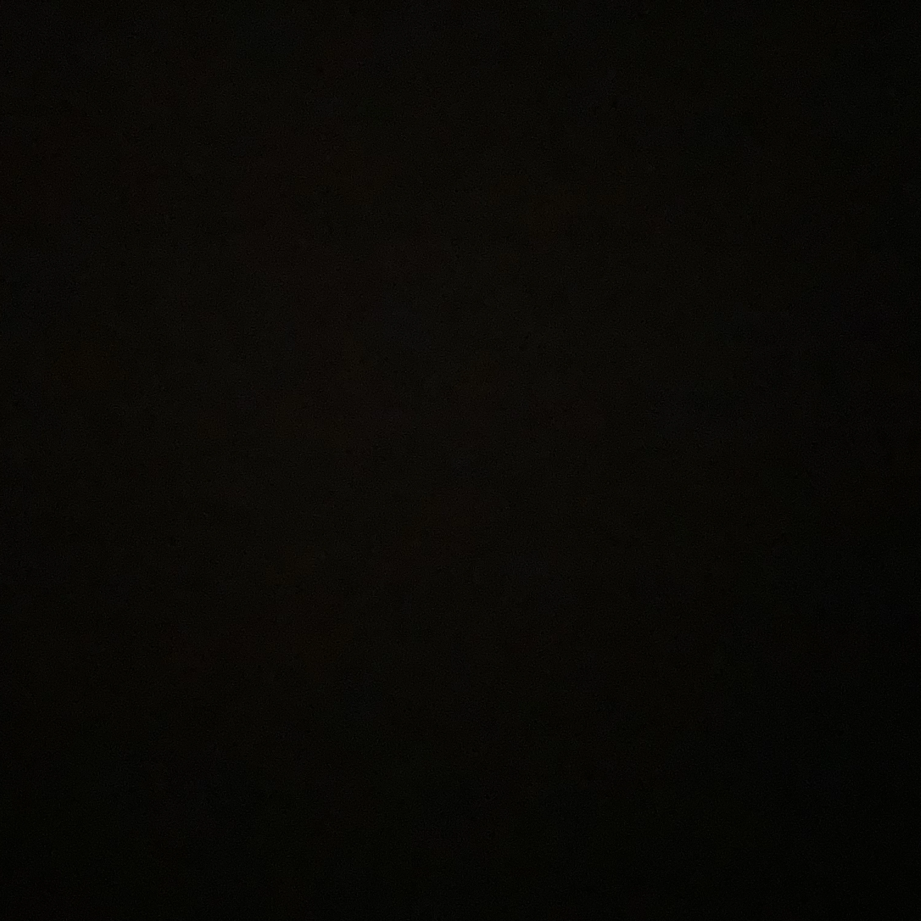 김동현