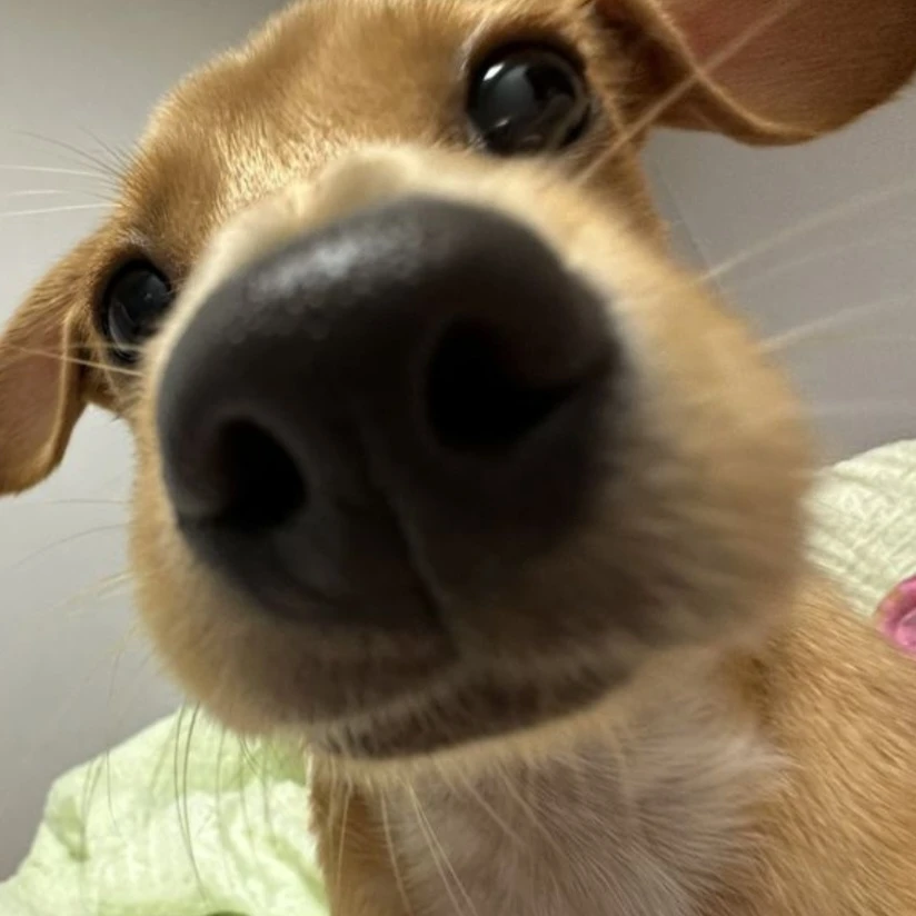 덕경장