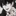 백진하