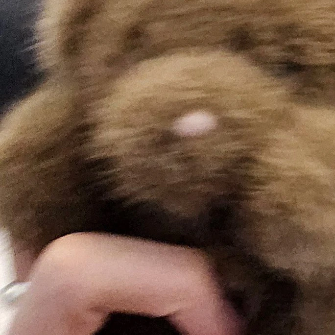 정세민