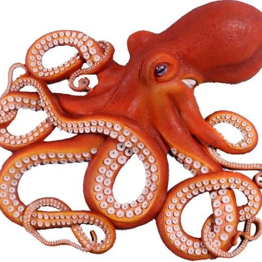 변태 문어