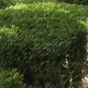 수해준