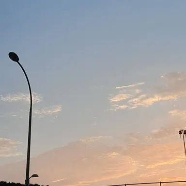 Profile image of 박덕개