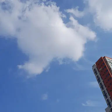 Profile image of 박잠뜰