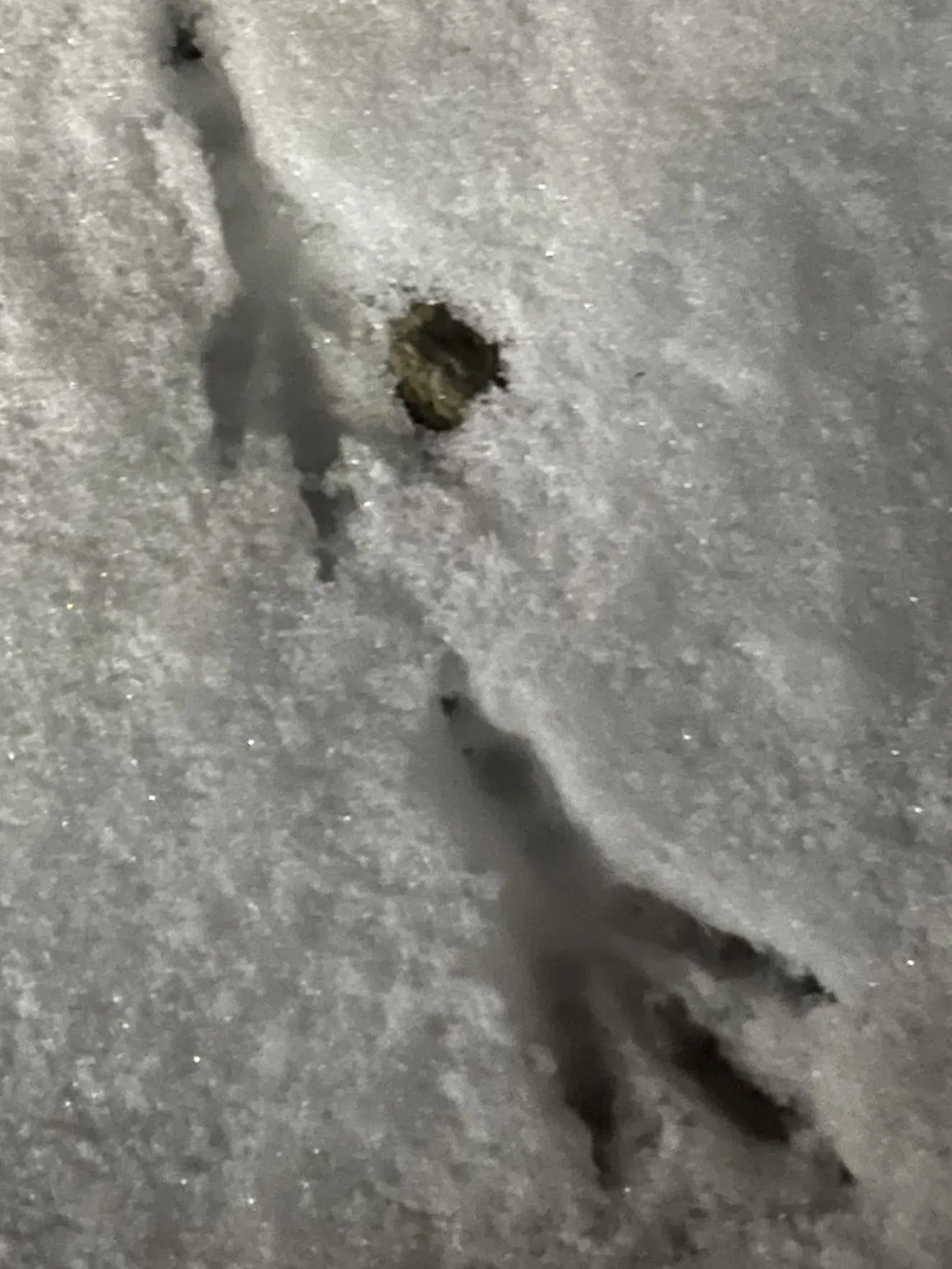 NCTzen_127DREAMWISH의 맠동