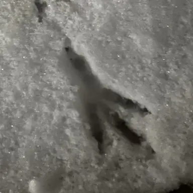 Profile image of 이민형