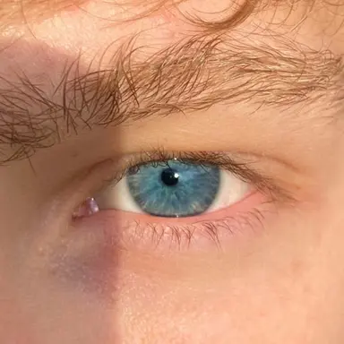 Profile image of Flash