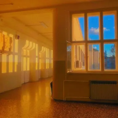 Profile image of Freaky school