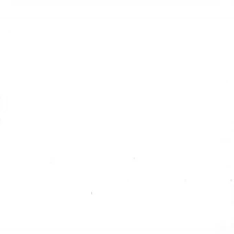 왕자님