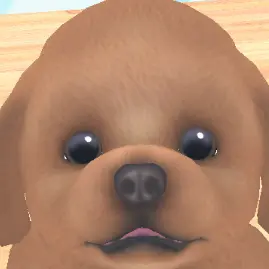 CalmWatch6738의 犬