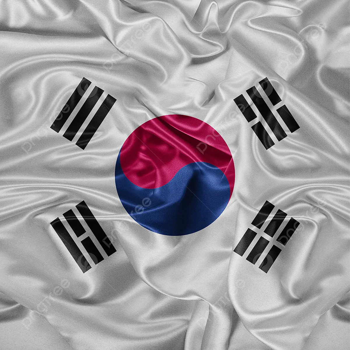 FrugalCat4544의 대통령이되어서 우리나라를 이끌어라