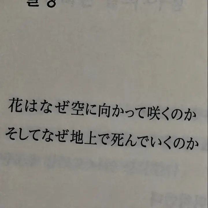 Ren_rg의 自分用