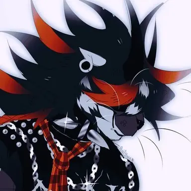 Profile image of Asher