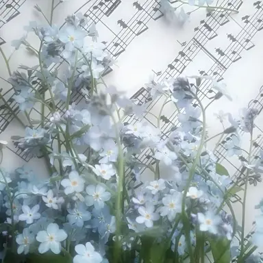 Profile image of 잠경위