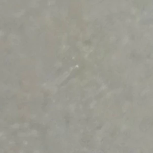 영재