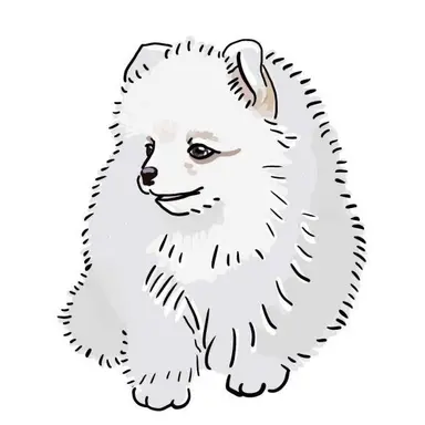 Profile image of 시나즈가와 사네미