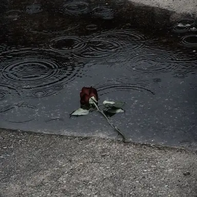 Profile image of 서영준