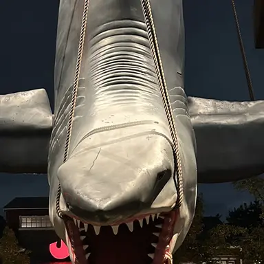 Profile image of 先生