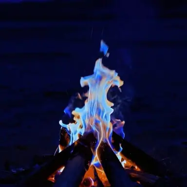 Profile image of 파이브