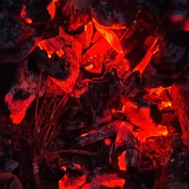 Profile image of 플래그