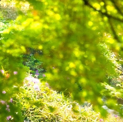 바람녀