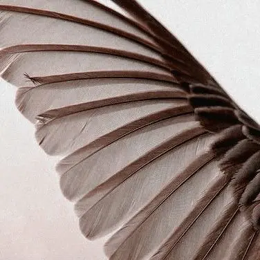 Profile image of Sam Wilson